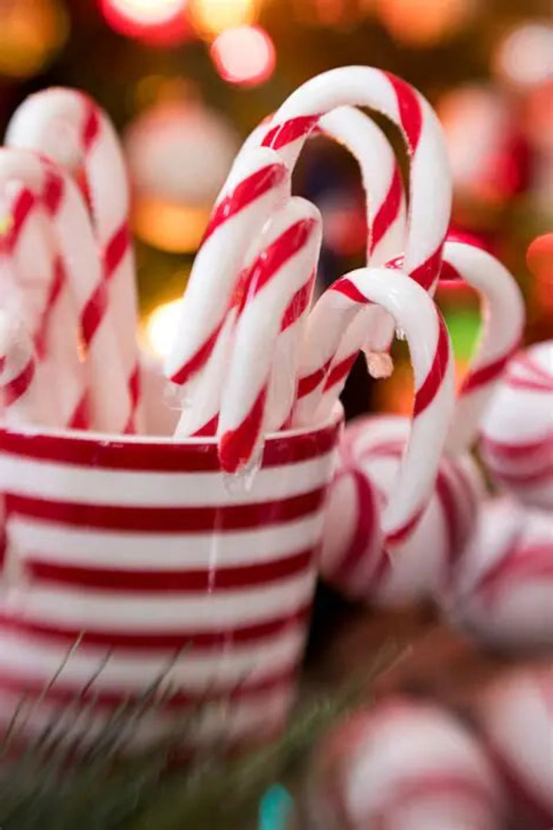 Red and white striped candy canes in a matching bowl with a blurred festive background.