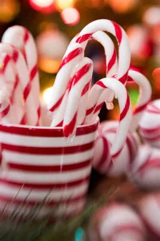 Red and white striped candy canes in a matching bowl with a blurred festive background.