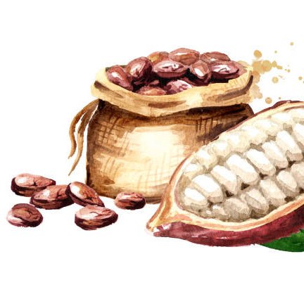 Cocoa butter and cashmere goat milk soap bar with creamy lather and warm vanilla comfort, handmade for winter gifting and sensitive skin