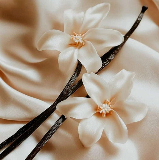 Goat Milk Tallow Dog Soap on a Rope - 2 Scents Available - Lil Swatara SOAP LLC