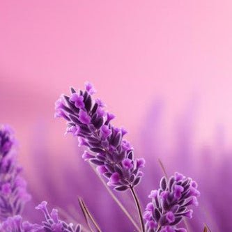 Lavender cotton candy goat milk soap bar with creamy lather and soft floral sweetness, handmade for sensitive skin and spring gifting