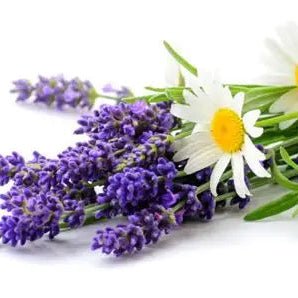 Chamomile Lavender Goat Milk Soap – 6oz bar steeped in creamy goat milk, scented with calming florals and herbal depth. Handmade for face and body.