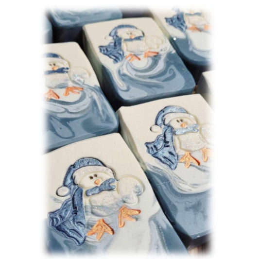 Cute Christmas winter soap stamp, bird winter holiday design lil swatara