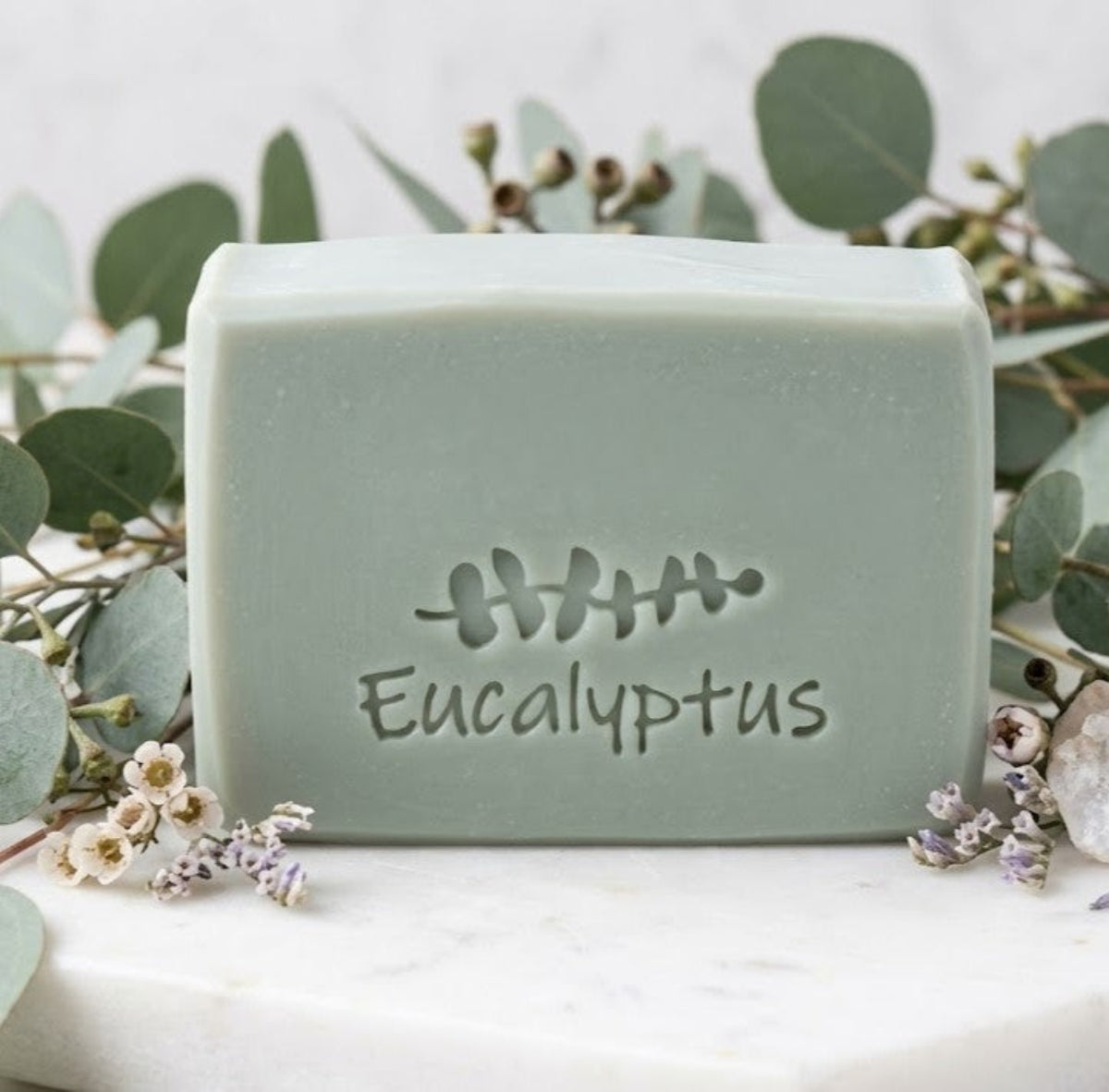 LARGE SOAP STAMP – Eucalyptus Word and Plant Herbal Aromatherapy Botanical Design Creates LARGE, crisp impressions featuring eucalyptus text and botanical sprigs, perfect for spa soaps, aromatherapy batches, herbal collections, and botanical artisan lines.