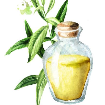 Lemongrass Goat Milk Soap bar with herbal citrus scent – 6oz handmade tallow-based soap for face and body